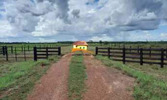 Imagem 6: Fazenda para Venda em Gurupi, Área Rural de Gurupi