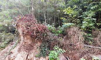 Imagem 6: Chácara à venda com um lindo riacho e árvoredos, localizada em Rolantinho!!