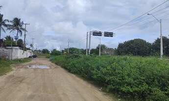 Imagem 3: 3 LOTES COM ESTRUTURA DE GALPÃO CONSTRUIDA - PAIVA - BARRA DE JANGADA