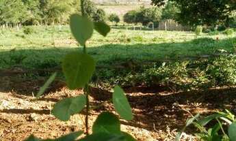 Imagem 4: Terreno para venda com 20000 metros quadrados em Paraisópolis - MG