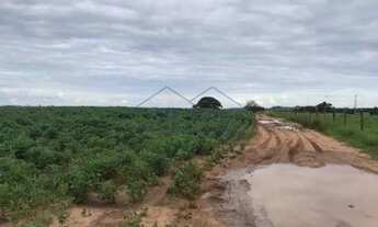 Imagem 7: Sítio, Zona Rural, Analândia - R$ 3.5 mi, Cod: 10132475