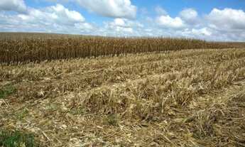 Imagem 6: Chácara à venda, 160 alqueires, ou 387,2 hectares ou 3.872.000m², plantando 60%, soja, euc