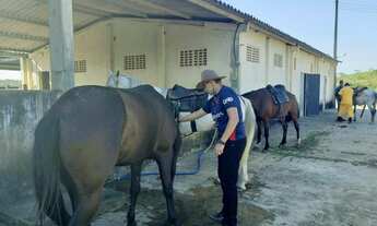 Imagem 4: Fazenda/Sítio/Chácara para venda possui 1361250 metros quadrados em Centro - Salgado - SE
