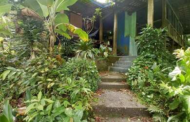 Imagem 2: OPORTUNIDADE, SÍTIO 20.000M2 + CASA COM 10 SUÍTES E PISCINA EM BOIÇUCANGA, SÃO SEBASTIÃO