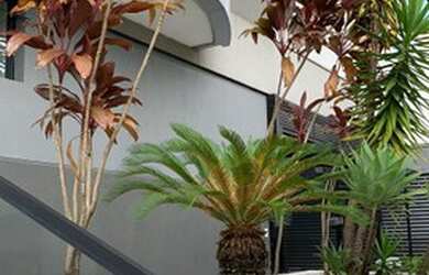 Imagem 5: Sala/Conjunto para aluguel possui 200 m² em Vila Guiomar - Santo André - SP