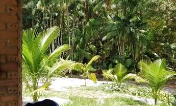 Imagem 7: Chácara com 3 dormitórios à venda, 7507 m² por R$ 500.000,00 - Centro - Morros/MA