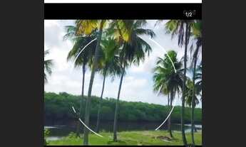 Imagem 5: Vilaredo prainha mosqueiro