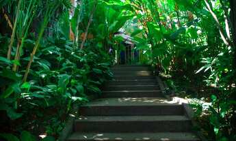 Imagem 5: Casa espetacular no Jardim Botânico