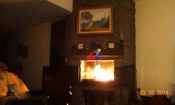 Imagem 6: Casa com 2 dormitórios à venda, 80 m² por R$ 450.000,00 - Albuquerque - Teresópolis/RJ