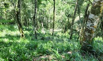Imagem 2: Santo Antônio do Pinhal - Terreno Padrão - 5 Km do Centro