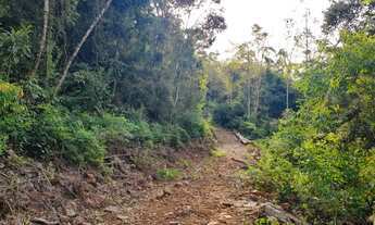 Imagem 3: Chácara à venda com um lindo riacho e árvoredos, localizada em Rolantinho!!