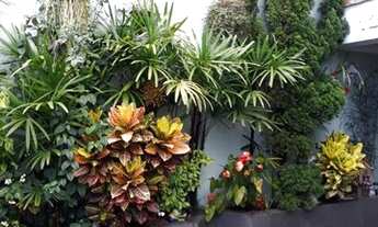 Imagem 5: Sobrado para venda tem 246 metros quadrados com 3 quartos em Olímpico - São Caetano do Sul