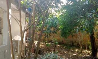 Imagem 4: Casa Queimados, tipo chácara, 03 quartos, excelente quintal !!!!!!!!!