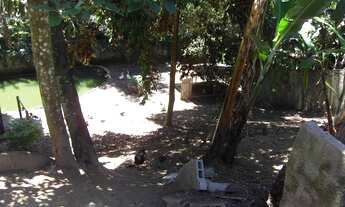 Imagem 4: Lote ideal para construção de prédio na glória