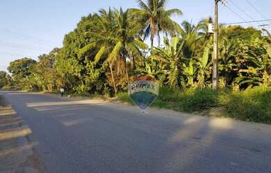 Imagem 3: Excelente área as margens da PE60 no engenho Algodoais no Cabo de Santo Agostinho .PE