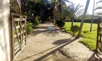 Imagem 4: Sítio para comprar Centro Santo Amaro