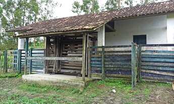 Imagem 5: Fazenda com 124 Hectares