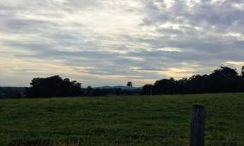 Imagem 4: Sitio em cassia dos coqueiros 12 alqueires 2.000.000.00 ( agn