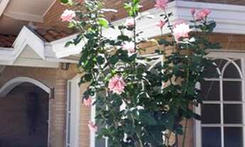 Imagem 2: Casa para venda tem 180 metros quadrados com 3 quartos