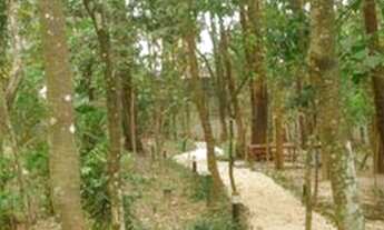 Imagem 6: SãO BERNARDO DO CAMPO - Padrão - Planalto