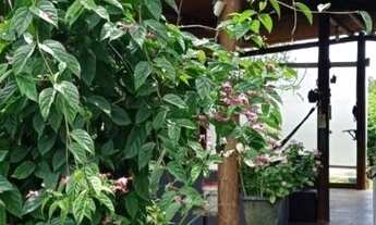 Imagem 2: Sitio RESIDENCIAL em CAMAÇARI - BA, BARRA DO POJUCA (MONTE GORDO