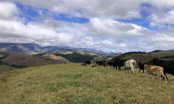 Imagem 4: Linda área de 48.000 em Secretário