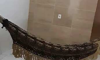 Imagem 5: Casa para alugar