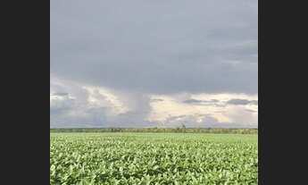 Imagem: Fazenda a venda próxima de Sorriso - MT