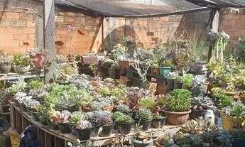 Imagem 3: 05 - CARIACICA - ES