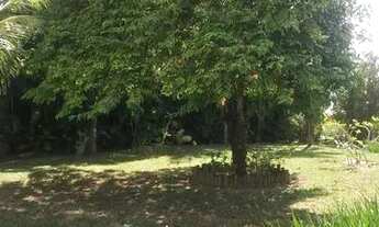 Imagem 7: Casa Térrea 3/4 para Locação com 257m² em Terreno de 4.657m² - Portão - Lauro de Freitas