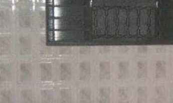 Imagem 4: Casa com 05 quartos - amplo terreno(562 m²) Caçapava /SP