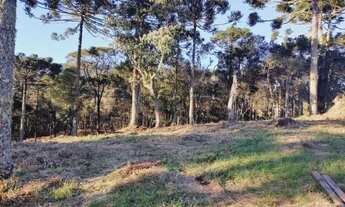 Imagem 2: Chácara de 2 hectares a venda em Santa Tereza, Urubici-SC