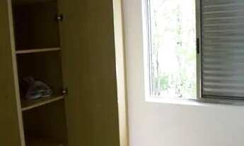 Imagem 7: Apartamento para Aluguel - Jardim Iris , 3 Quartos, 60 m2