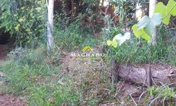 Imagem 7: Excelente sítio em Lindolfo Collor REF: 210640