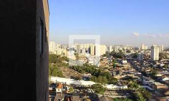 Imagem 7: Apartamento para Aluguel - Picanço, 2 Quartos, 50 m2