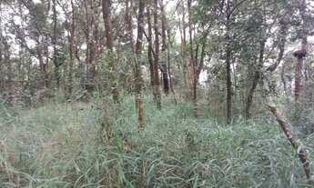 Imagem 7: Anuar Donato Lote / Terreno à venda Glebas Reais