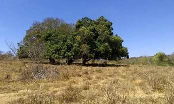 Imagem 2: Lote / Terreno à venda em Jequitibá