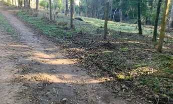 Imagem 4: Vendo Chacara na região de Agudos do Sul