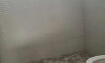 Imagem 3: Alugo excelente casa para fins comerciais