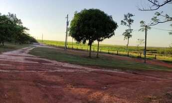 Imagem 4: Fazenda a venda próxima de Sorriso - MT