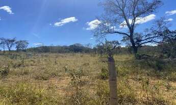 Imagem 6: Vendo lote 2000mts