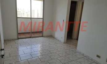 Imagem 2: Apartamento de 35m² com 1 quartos em Santana