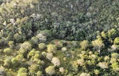 Imagem 5: Chácara à Venda, 20.000m2 Aceito Parcelamento A Partir de 625,00 mensal