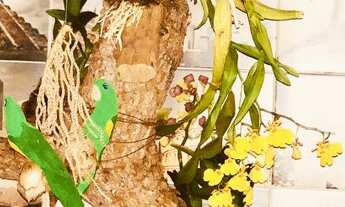 Imagem 7: Apartamento para aluguel tem 35 metros quadrados com 1 quarto em Setor Bueno - Goiânia - G