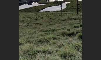 Imagem 2: Balsa Nova - Terreno Padrão - BUGRE