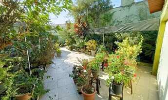 Imagem 6: Pelotas - Casa Padrão - Centro