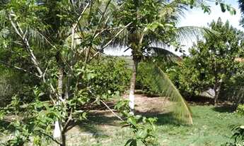 Imagem 2: Fazenda/Sítio/Chácara para venda possui 400 metros quadrados com 3 quartos em Centro - Con