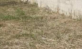 Imagem 2: Chacara próximo Rio Pardo