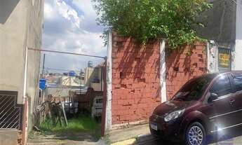 Imagem 4: Sao Paulo - Terreno Padrão - Parque Tietê