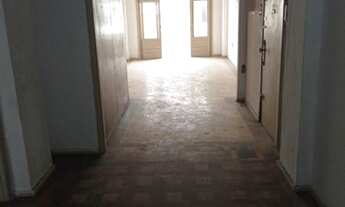 Imagem 4: IMOBILIÁRIA SCHOTKIS ALUGA APARTAMENTO DE 03 DORMITÓRIOS, 1º ANDAR, DE FRENTE, COM ELEVADO